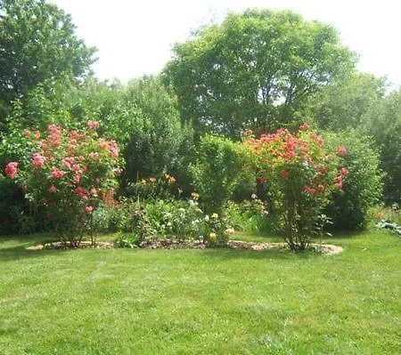 דירה Am Wiesengrund In Venningen
